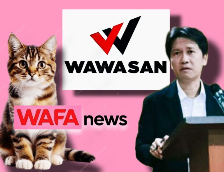 Wawasan Negara Seperti Kucing?